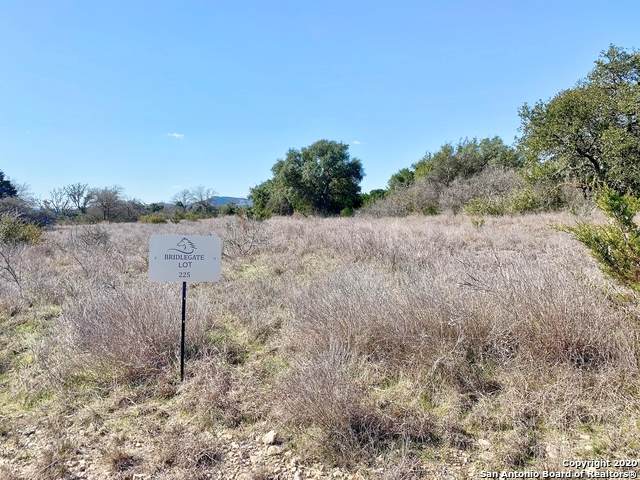 LOT 225 Bridle Chase - Photo 1