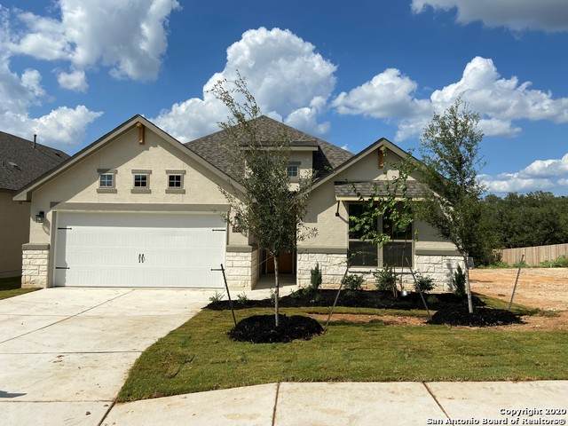 28434 Shailene Drive - Photo 1