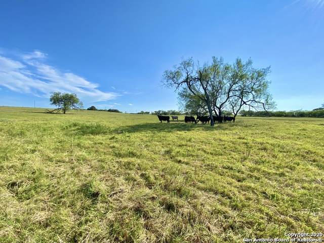 101 AC Tract 12, Cr 305 - Photo 1