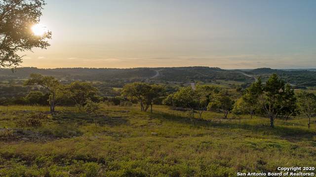 LOT 42 Scenic Hills Court - Photo 1