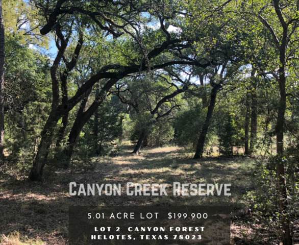 LOT 2 Canyon Frst - Photo 1