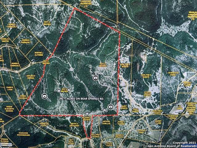 TBD Bear Springs Road - Photo 1