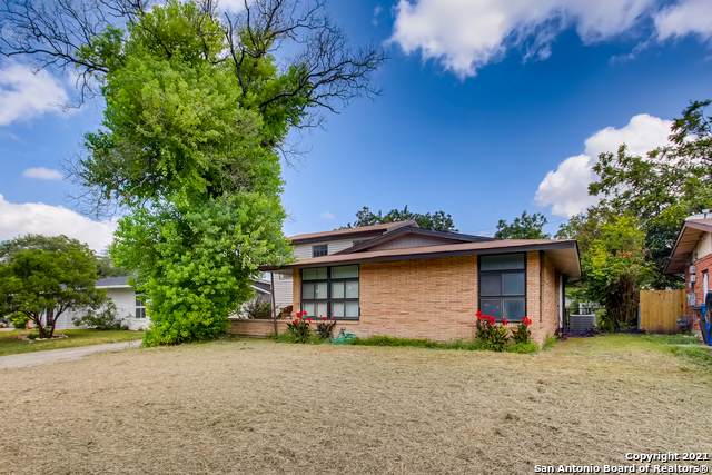 4511 Eisenhauer Rd - Photo 1