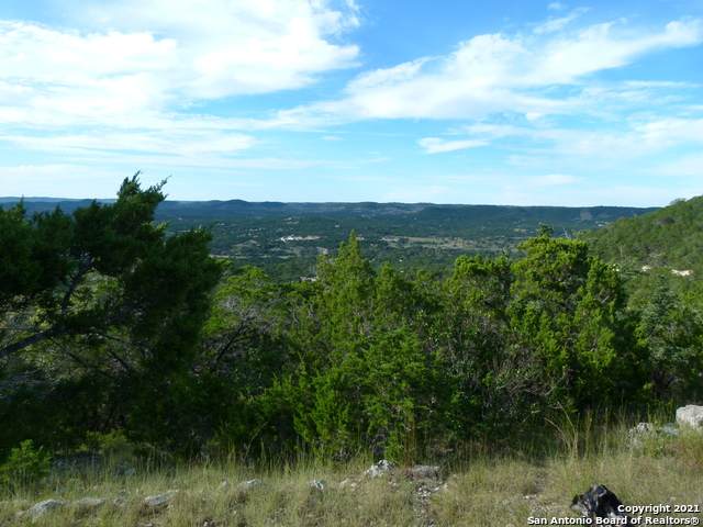 1300 Goat Ridge - Photo 1