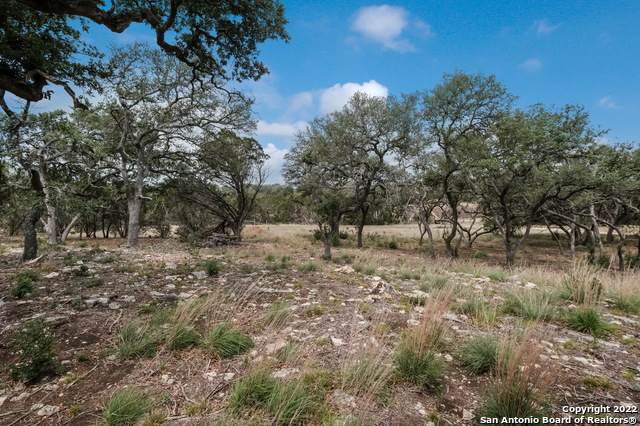 732 Live Oak Ridge Rd - Photo 1