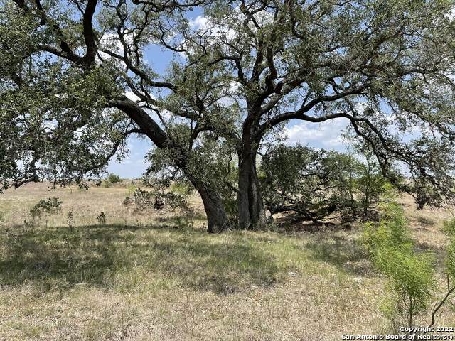 15 County Road 154 - Photo 1