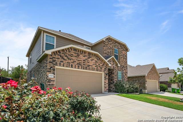 1519 Crown Daisy - Photo 1