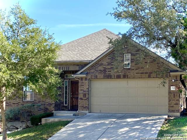 526 Blue Springs - Photo 1