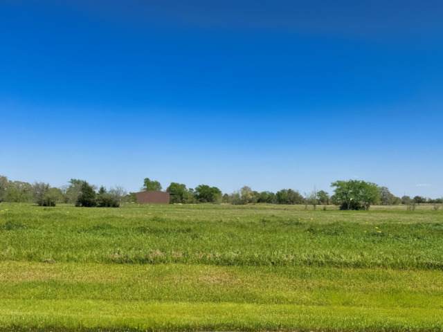 10016 Panther Creek Drive - Photo 1