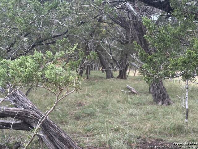 LOTS 1-3 Indian Trail - Photo 1
