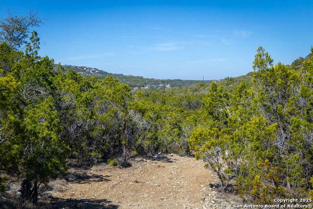 837 Crystal Peak - Photo 1