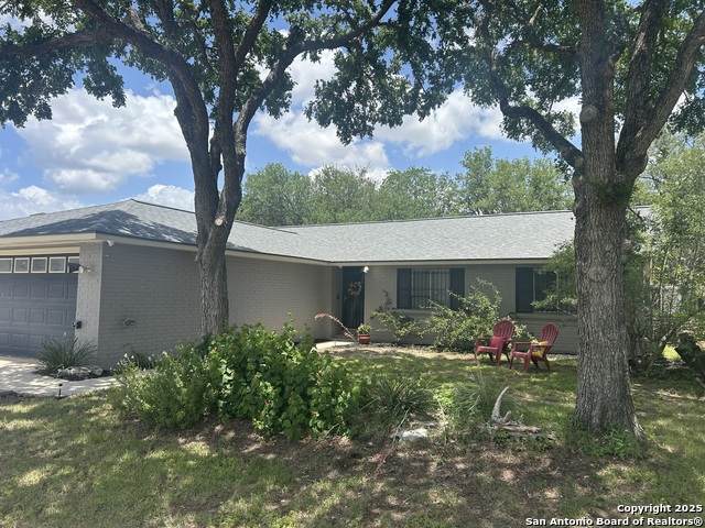 4910 Cherry Tree - Photo 1