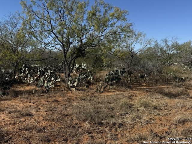 117 Cr 2644 - Photo 1