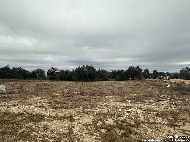 667 Butler Oaks - Photo 1