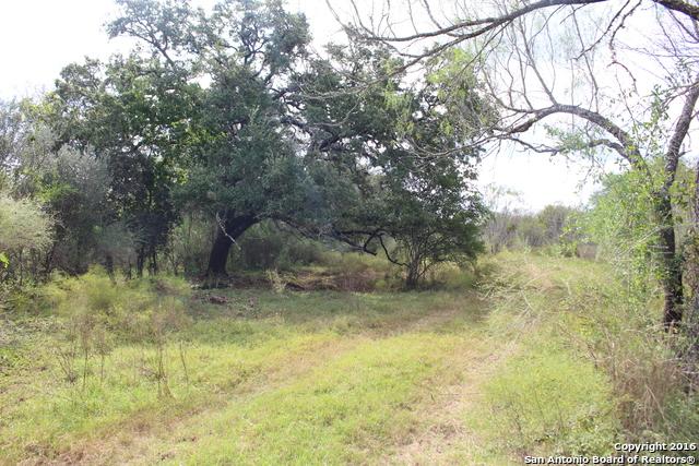 1011 Loop 1604 - Photo 1