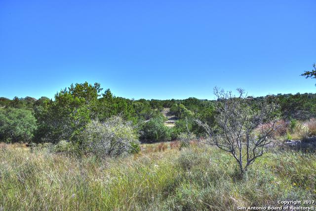 LOT 596 Little Sorrel Way - Photo 1