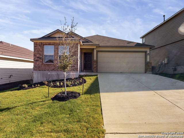 4806 Red Bandit Street - Photo 1