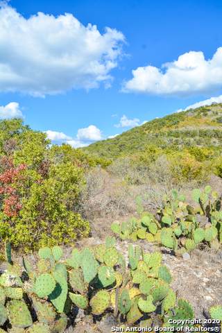 255 Brushy Creek Road - Photo 1