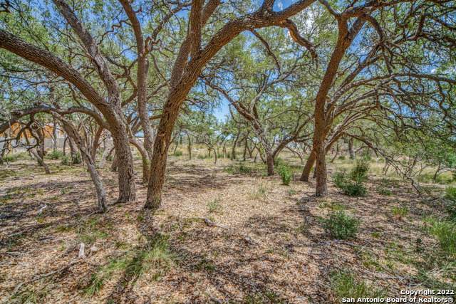 732 Live Oak Ridge Rd - Photo 1
