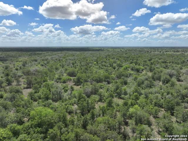 228 (136 ACRES) Mcguill Rd - Photo 1