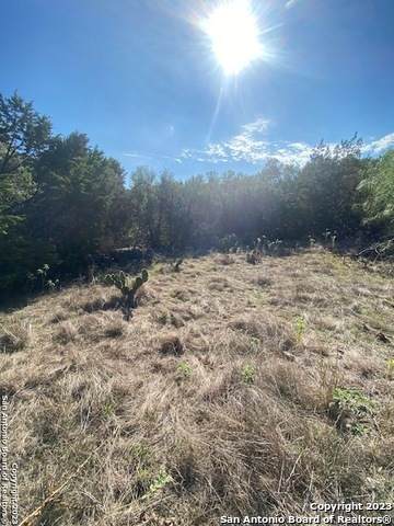 2576 Robin Hood Dr - Photo 1