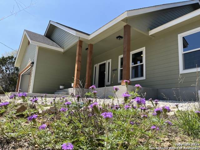 635 Cactus Flower - Photo 1