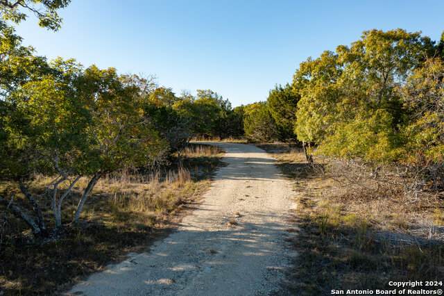 612 Seven Sisters - Photo 1