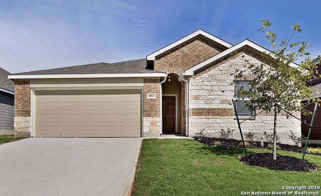 10527 Francisco Way - Photo 1