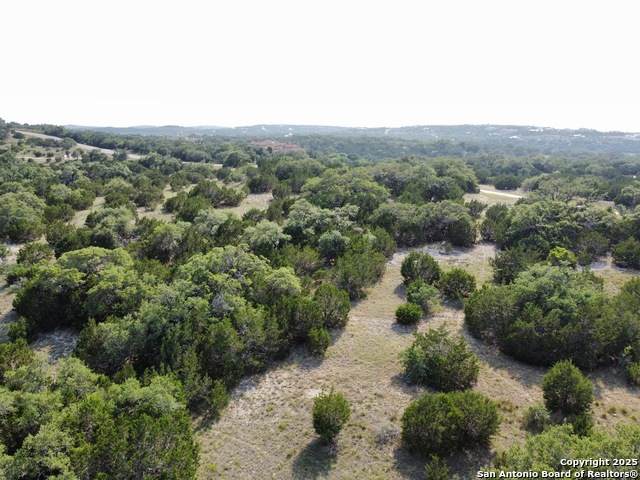 207 Lantana Hollow - Photo 1