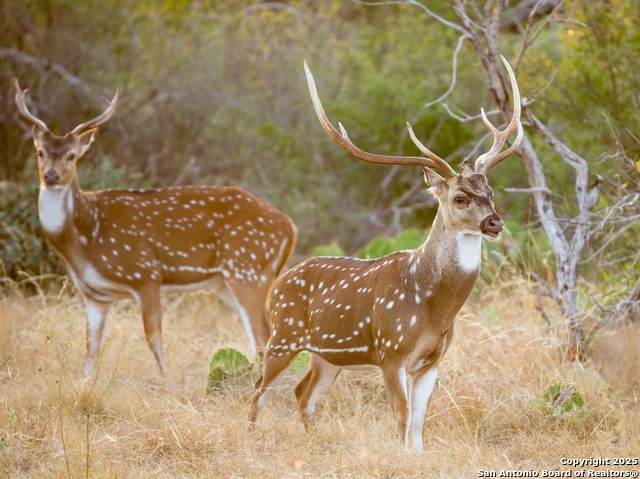 45 Mayacama - Photo 1