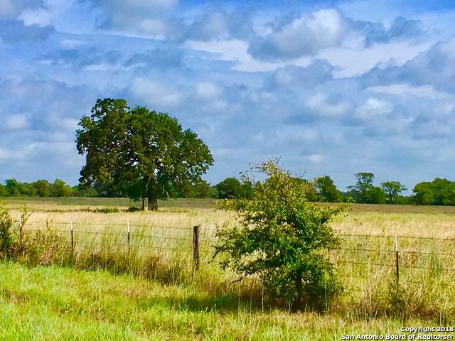 96.4 ACRES Fm 46 - Photo 1