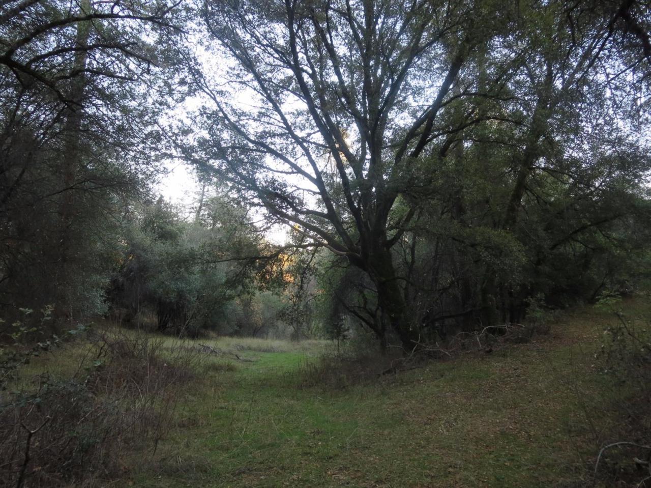 0 Happy Valley Rd. - Photo 1