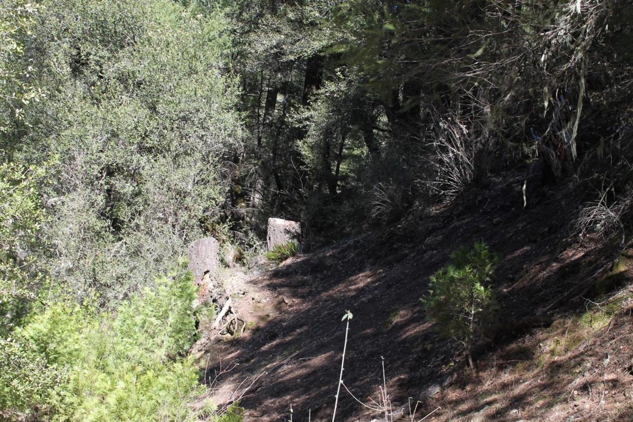 8751 Reading Creek Road - Photo 1