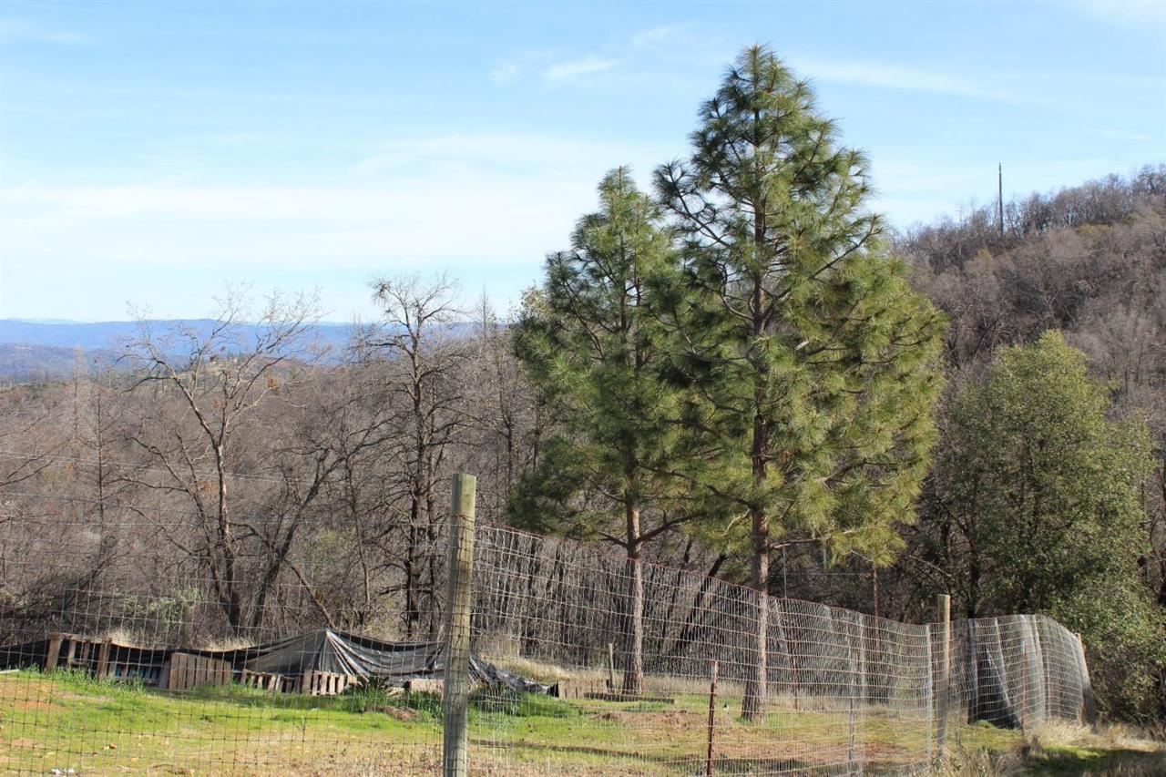 7177 Nikki Trail - Photo 1