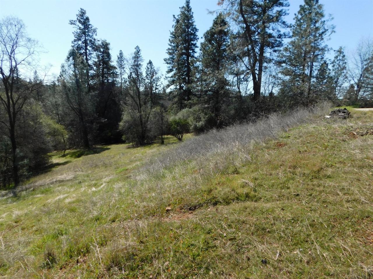 1014 Meadow Oaks Drive - Photo 1