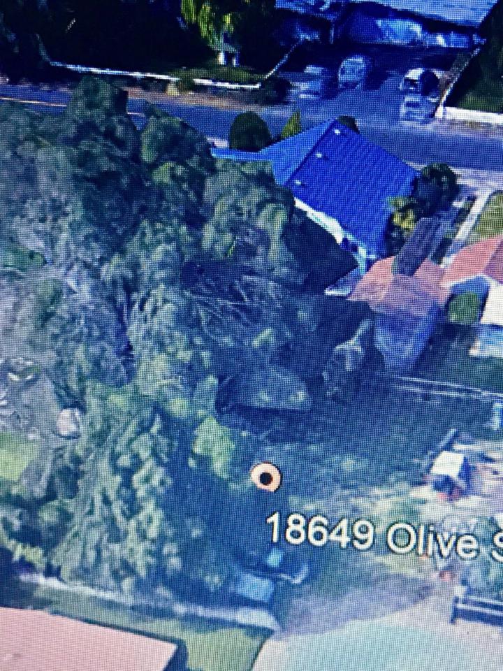 18649 Olive Street - Photo 1