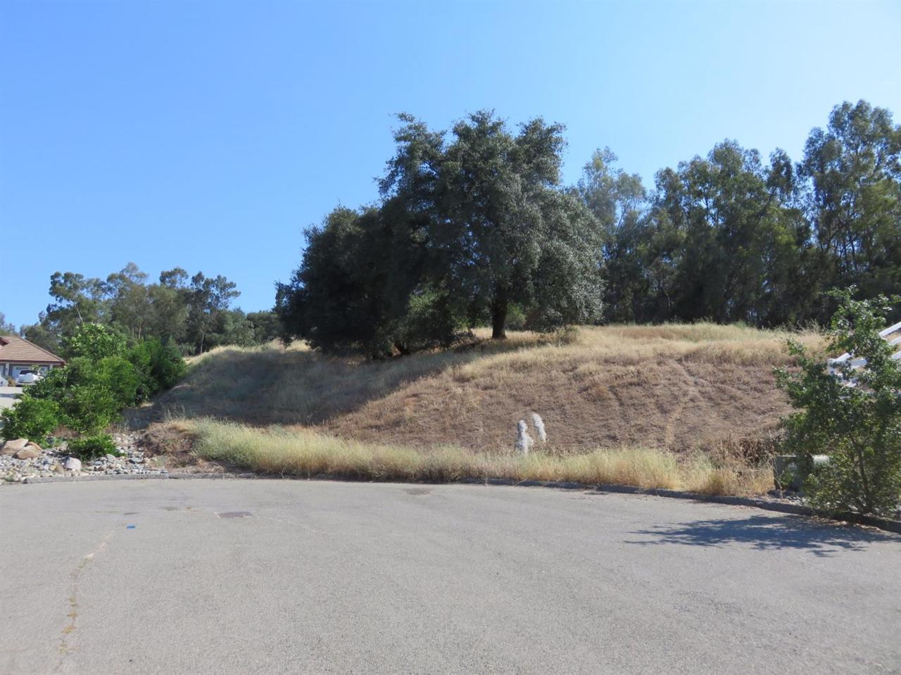 5675 English Colony Way - Photo 1