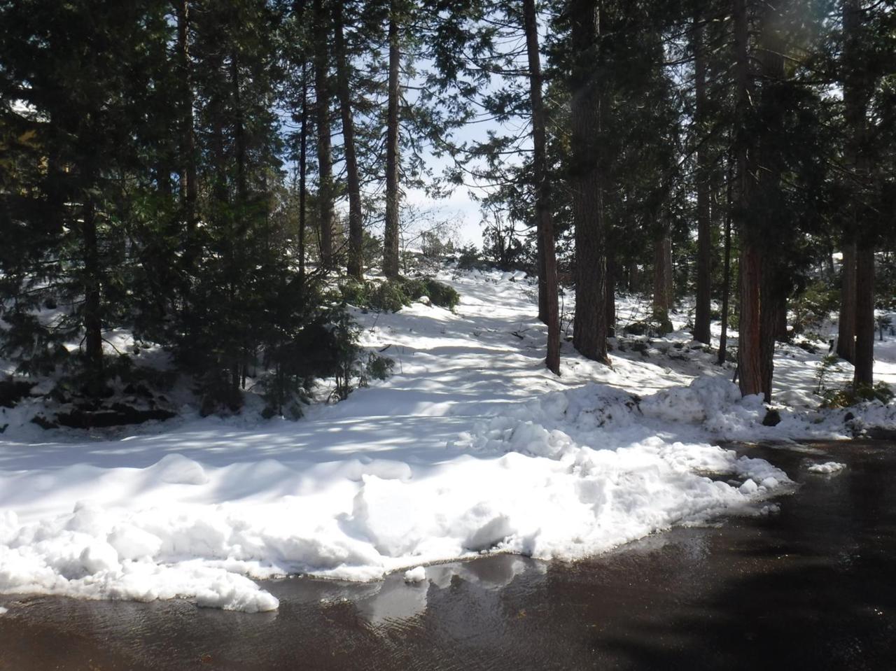 0 Cedar Pines Ave - Photo 1