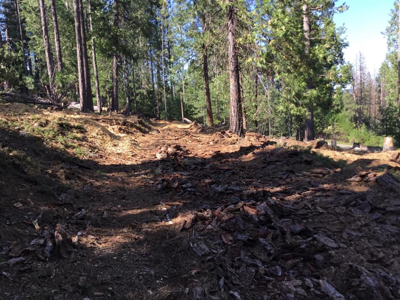 0 Mt. Pleasant Drive - Photo 1