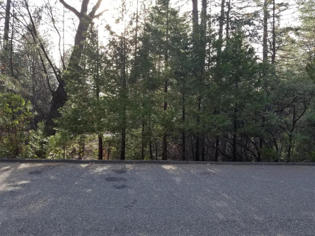 5700 Pennyroyal - Photo 1