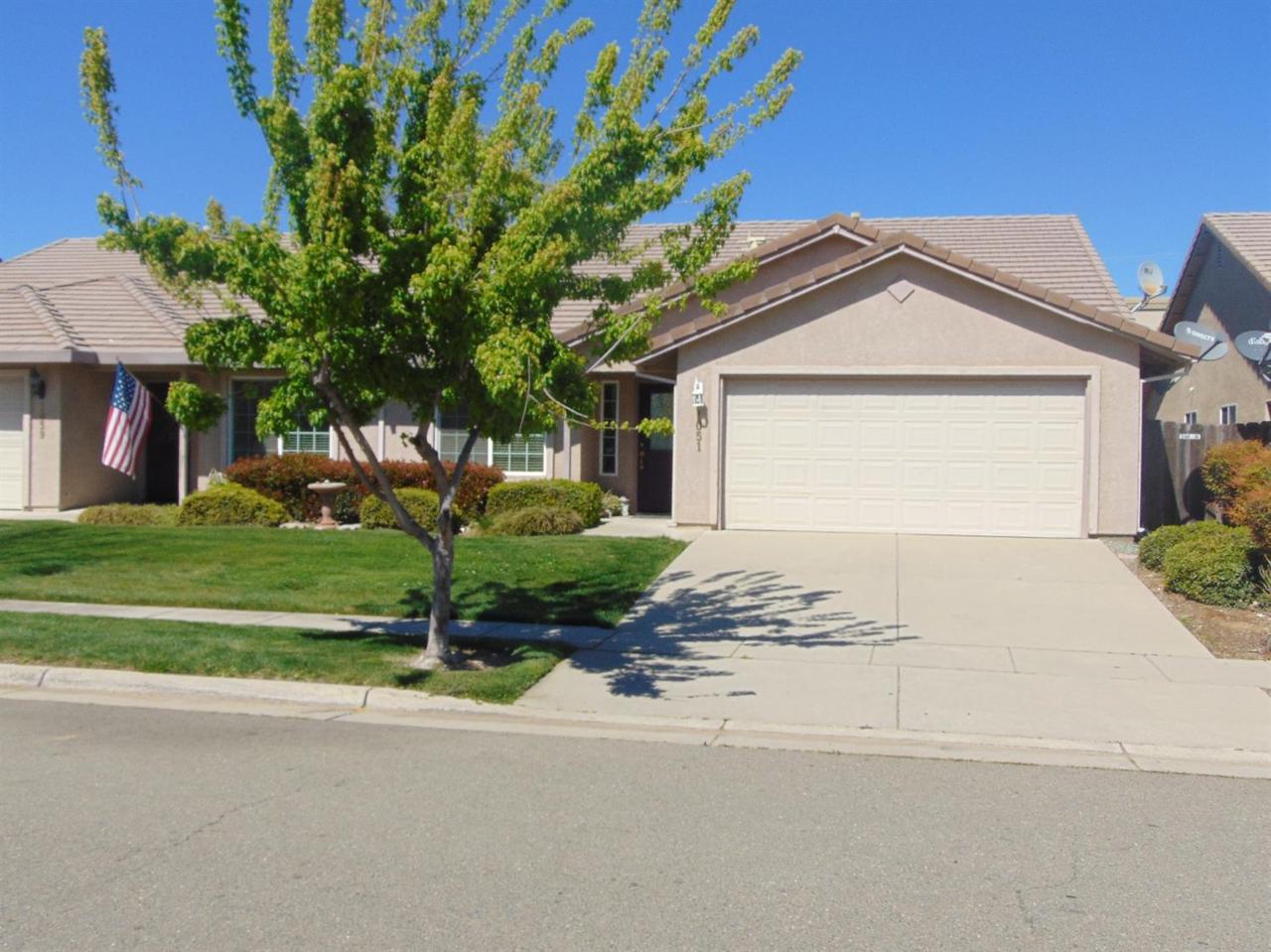 1051 Arbor Drive - Photo 1