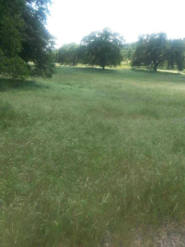 85 Silver Eagle Road - Photo 1