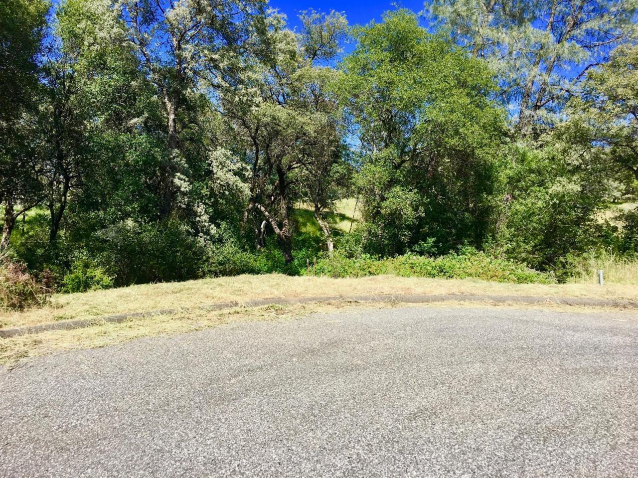 3800 Foothill Oaks Drive - Photo 1