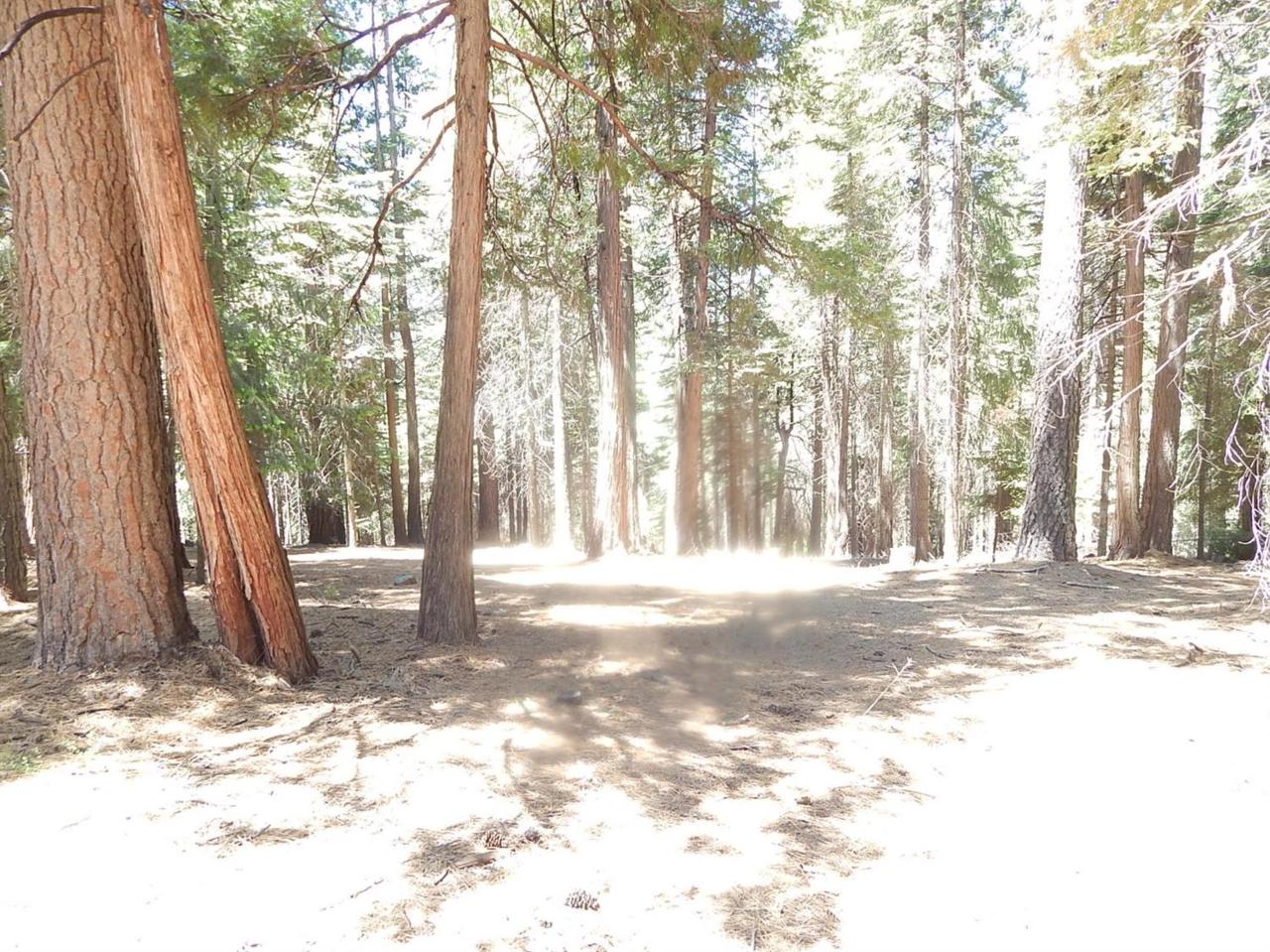 26889 Woodland Road - Photo 1