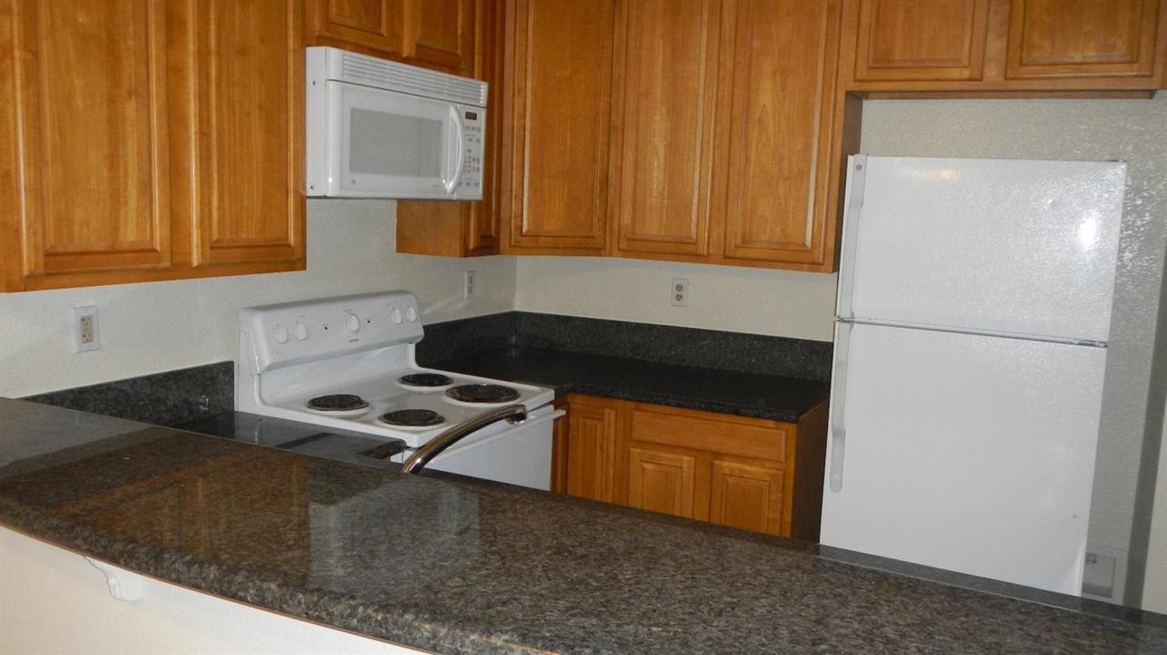 1019 Dornajo Way - Photo 1