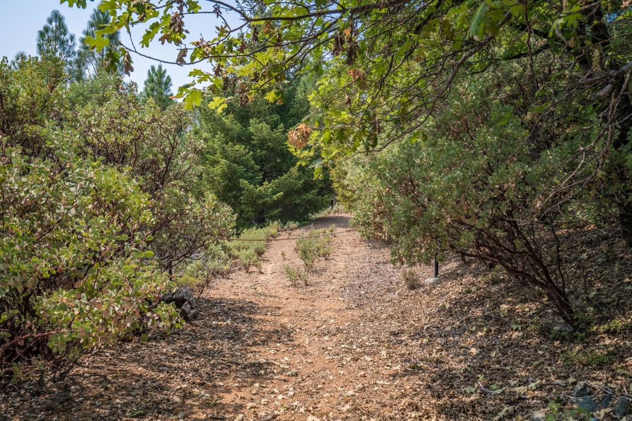 525 Deerborne Court - Photo 1