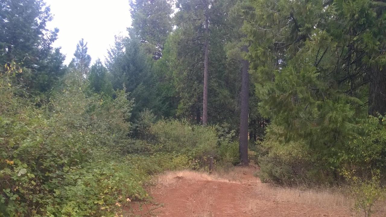 35 Indian Diggings Road - Photo 1