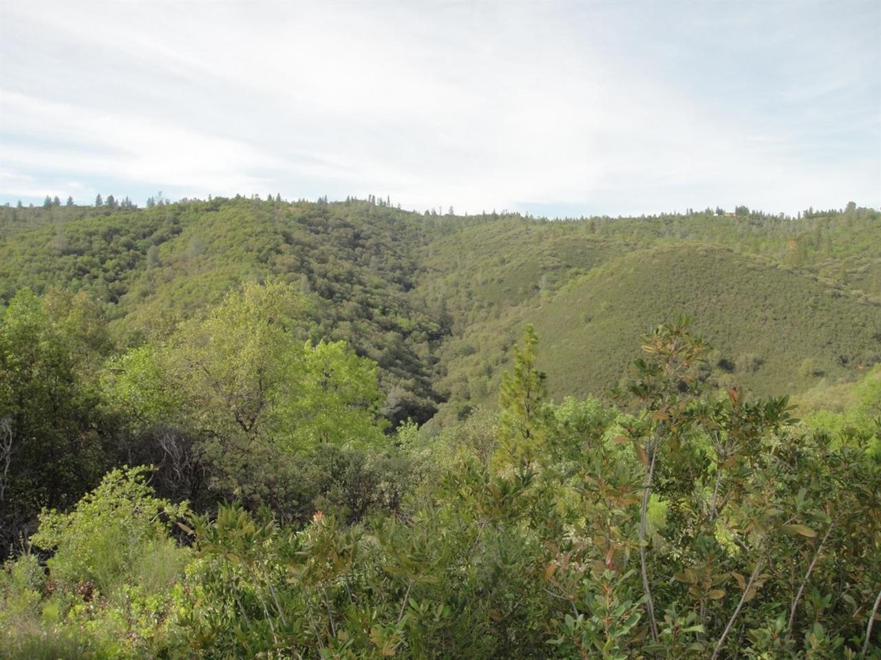 250 - Acres Sheep Ranch Road - Photo 1