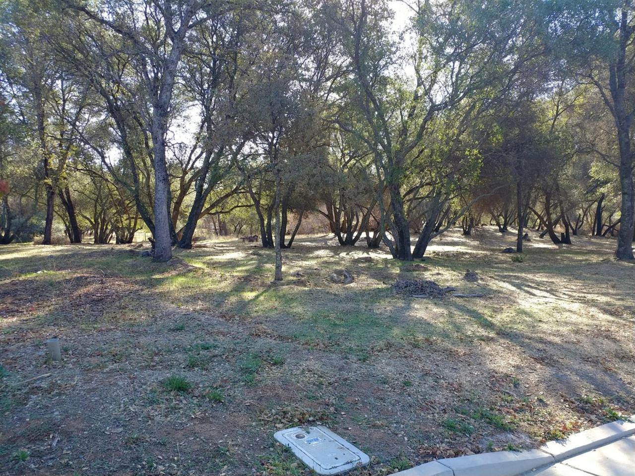 3325 Cherokee Trail - Photo 1