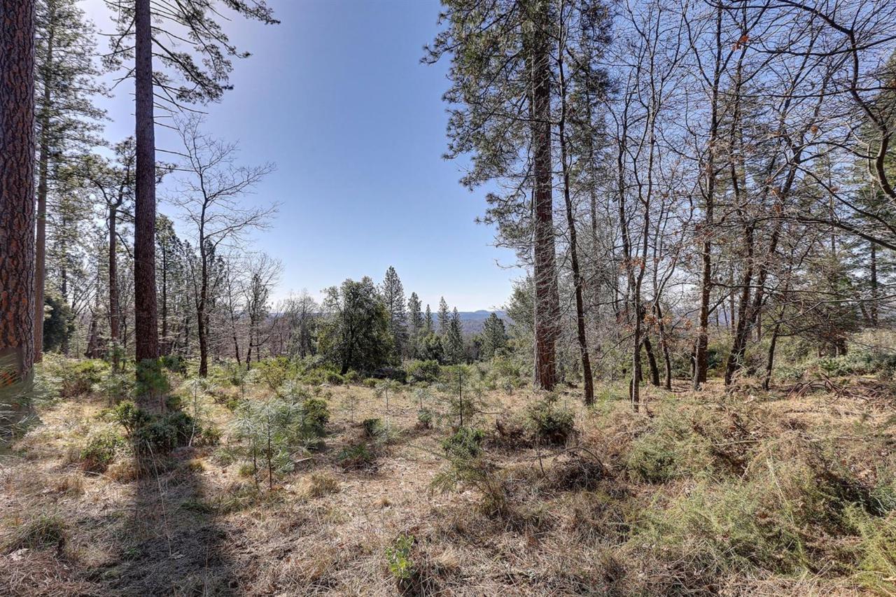 14683 Carman Court - Photo 1
